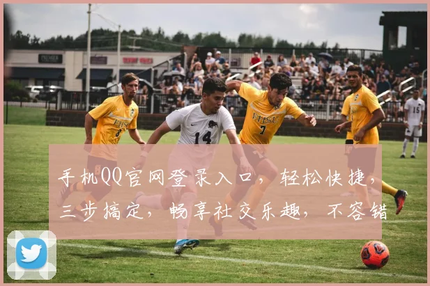 手机QQ官网登录入口,轻松快捷,三步搞定,畅享社交乐趣,不容错过,体验无限可能