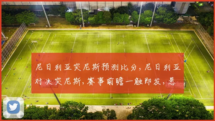 尼日利亚突尼斯预测比分,尼日利亚对决突尼斯,赛事前瞻一触即发,悬念重重