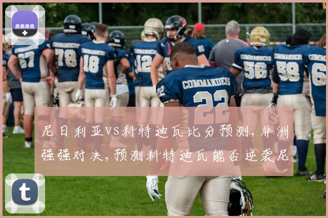 尼日利亚vs科特迪瓦比分预测,非洲强强对决,预测科特迪瓦能否逆袭尼日利亚